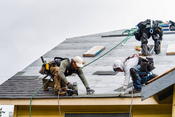 Professional Gutter Installation technician working in Ashford, WA